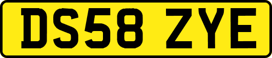 DS58ZYE