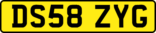 DS58ZYG