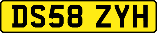 DS58ZYH