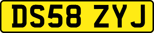 DS58ZYJ