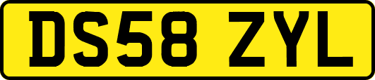 DS58ZYL