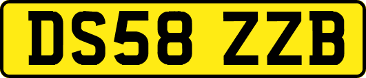 DS58ZZB