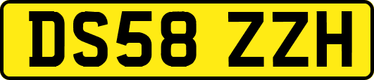 DS58ZZH