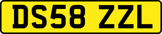 DS58ZZL