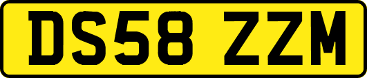 DS58ZZM