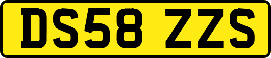 DS58ZZS