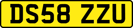 DS58ZZU