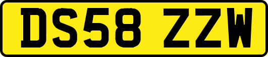 DS58ZZW