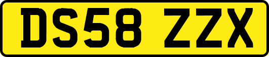 DS58ZZX