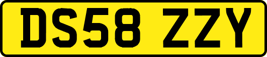 DS58ZZY