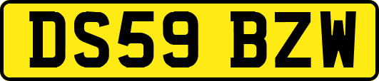 DS59BZW