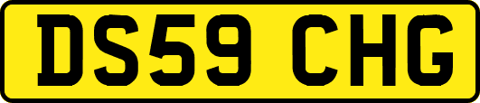 DS59CHG