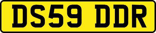 DS59DDR