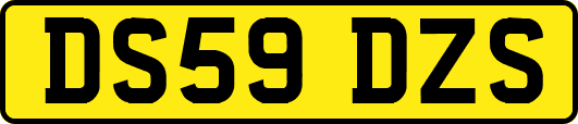 DS59DZS