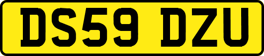 DS59DZU