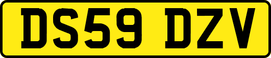 DS59DZV