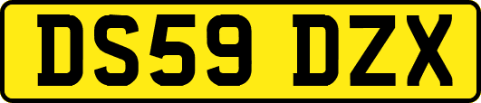 DS59DZX