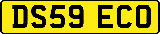 DS59ECO