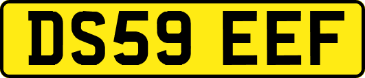 DS59EEF