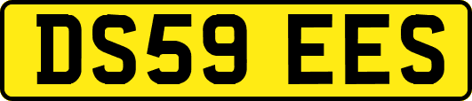 DS59EES
