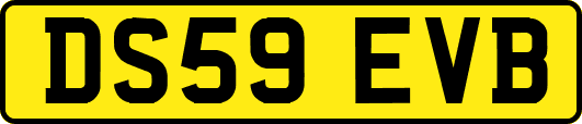 DS59EVB