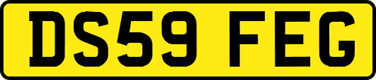 DS59FEG