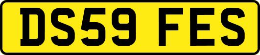 DS59FES