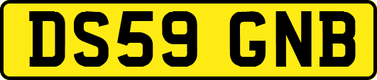 DS59GNB