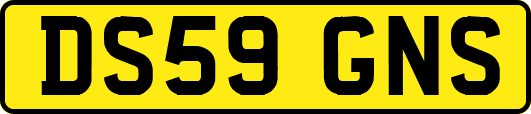 DS59GNS