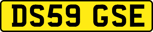 DS59GSE