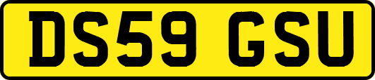 DS59GSU