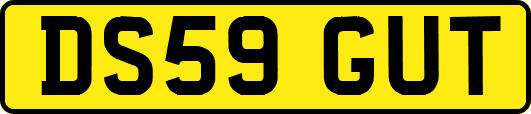 DS59GUT