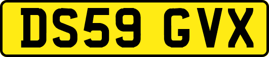 DS59GVX