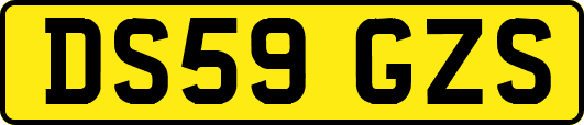 DS59GZS