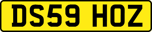 DS59HOZ