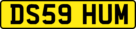 DS59HUM