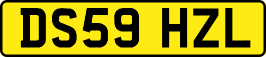 DS59HZL