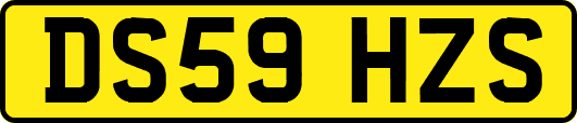 DS59HZS