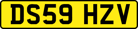 DS59HZV
