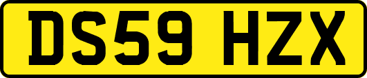 DS59HZX