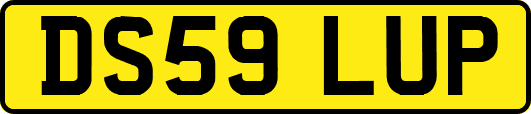 DS59LUP