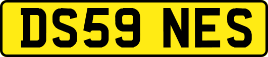 DS59NES