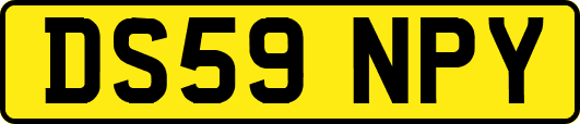 DS59NPY