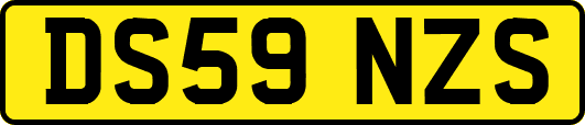 DS59NZS