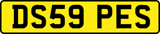 DS59PES