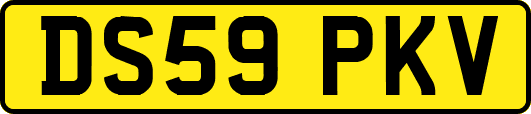 DS59PKV
