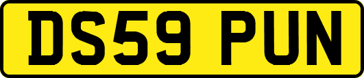 DS59PUN