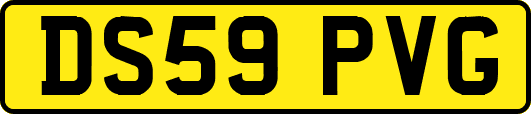DS59PVG