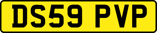DS59PVP