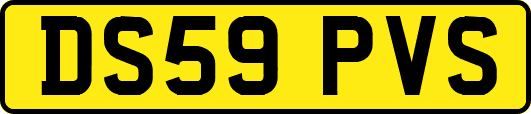 DS59PVS